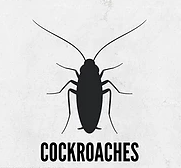 Cockroach Control