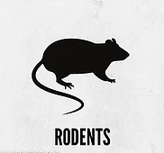 Rodent Control