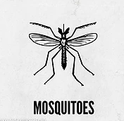 Mosquito Control